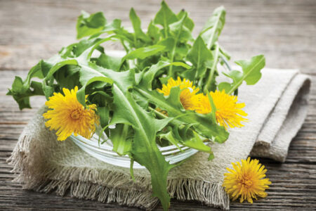 Spring Foraging: 5 Weeds You Should Eat!